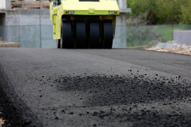 Best Professional Driveway Pavers  in Belhaven, NC